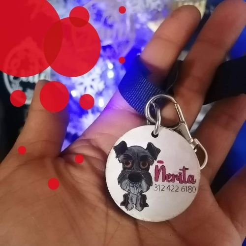 Placa mascota